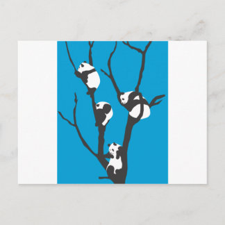 Carte Postale Pandas Hangin' Out