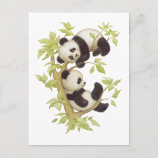 Carte Postale Pandas jouant dans un arbre