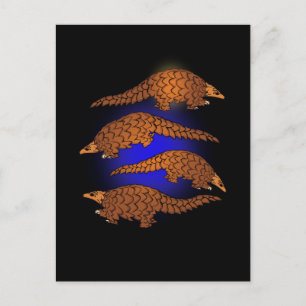 Carte Postale Pangolin Cadeaux Hommes Pangolin Lover Femmes Pang