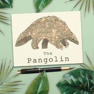 Carte Postale Pangolin Espèces en péril Espèces animales Art