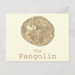Carte Postale Pangolin Espèces en péril Espèces animales Art