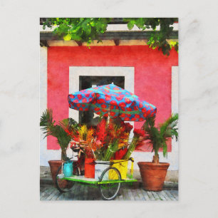 Carte Postale Panier à fleurs San Juan, Porto Rico