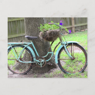 Carte Postale Panier à vélos vintage dans le jardin