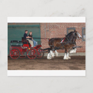 Carte Postale Panier Clydesdales