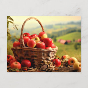 Carte Postale Panier de pomme, automne,