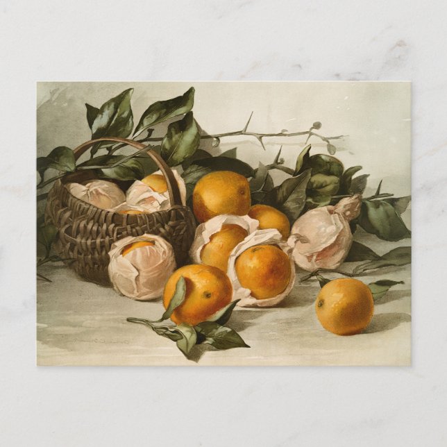 Carte Postale Panier d'oranges (Devant)