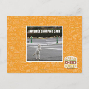 CARTE POSTALE PANIER INVISIBLE