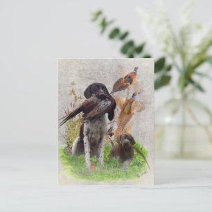 Carte Postale Panneau Boîte en bois pour pointeurs germains (GSP