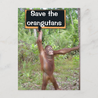 Carte Postale Panneau de protestation Orangoutan