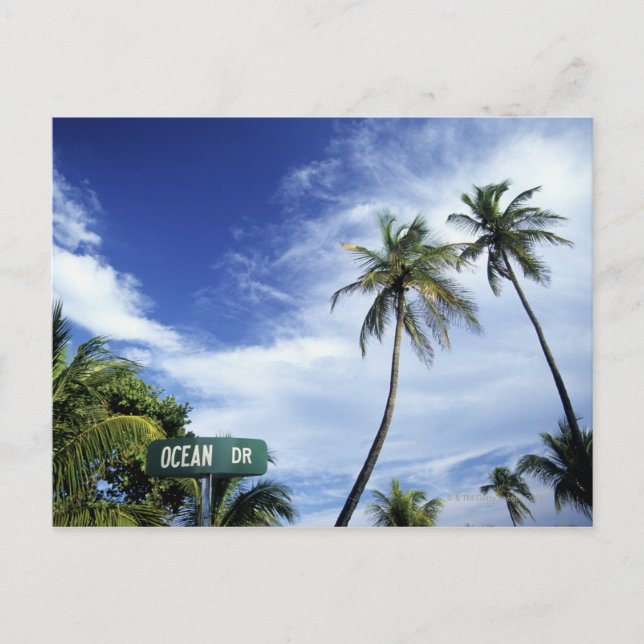 Carte Postale Panneau de route Ocean Drive, South Beach, Miami,  (Devant)