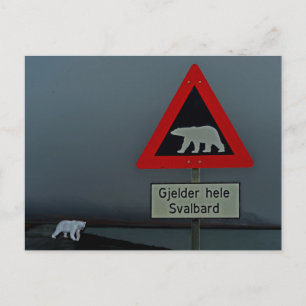 Carte Postale Panneau routier de l'ours polaire et ours polaire.
