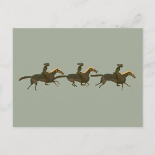 Carte Postale Panoply - Vase grec ancien art chevaux & cavaliers