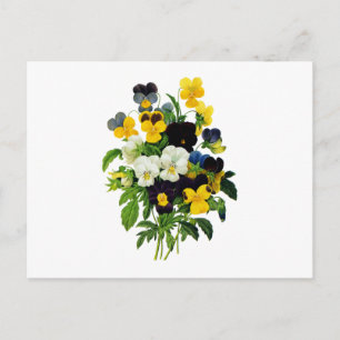 Carte Postale Pansies bleu violet et jaune par Redoute