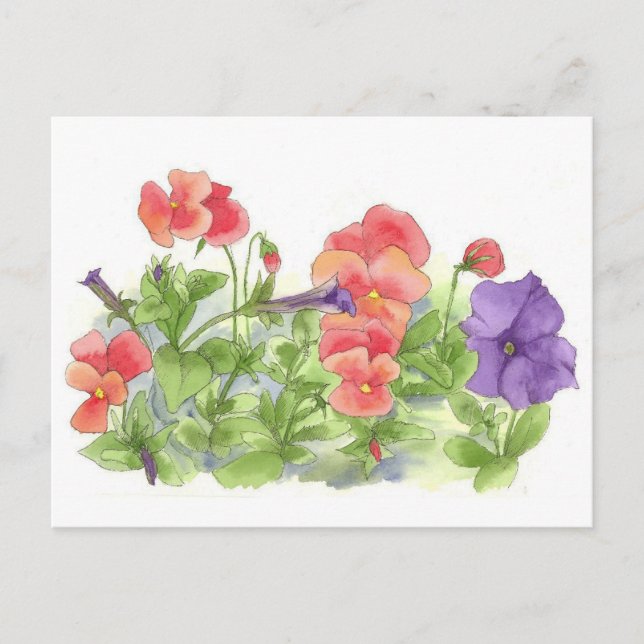 Carte Postale Pansies rouges Pétunias violet Aquarelle Fleurs (Devant)