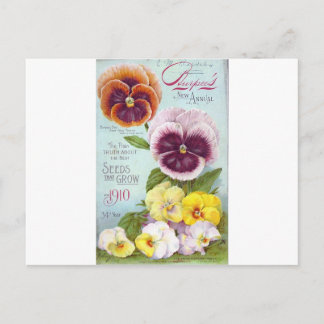 Carte Postale Pansies vintages