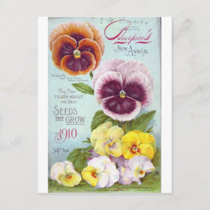 Carte Postale Pansies vintages