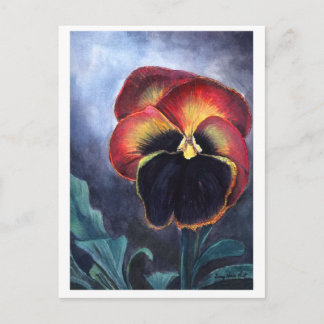 Carte postale Pansy