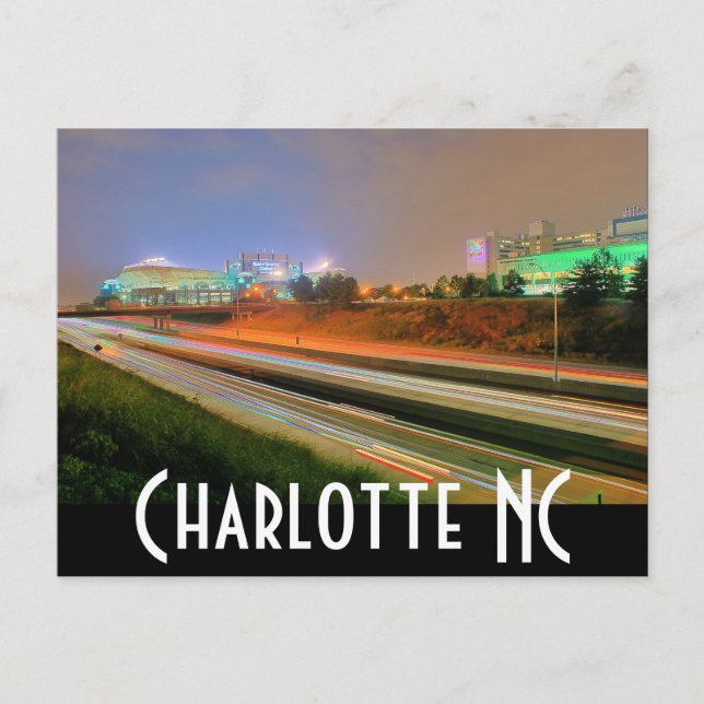 Carte Postale panthère de carolina (Devant)