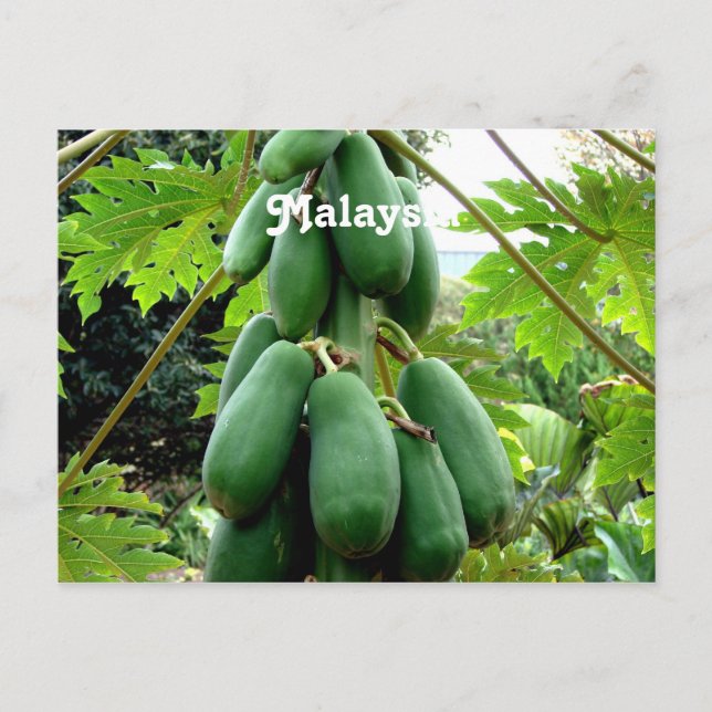 Carte Postale Papaya (Devant)