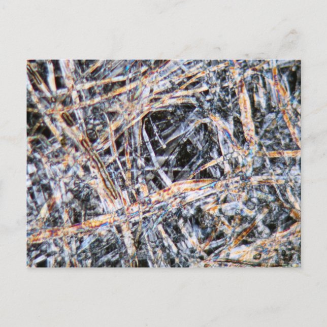 Carte Postale Papier au microscope (Devant)