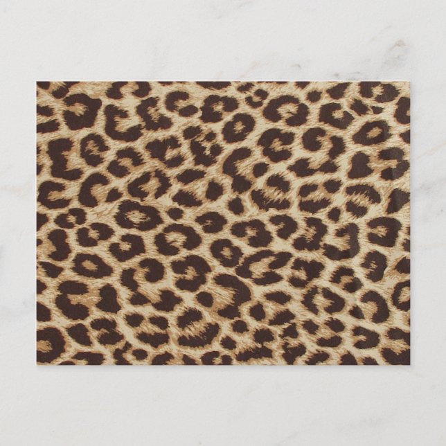 Carte Postale Papier Cheetah Skin (Devant)