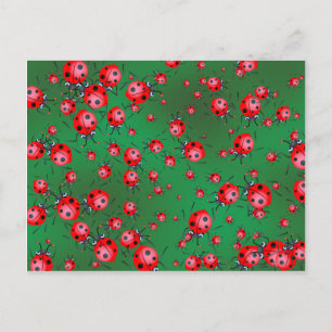 Carte Postale Papier peint Ladybug