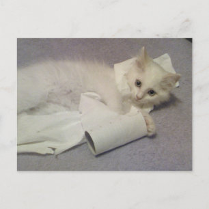 Carte Postale papier toilette