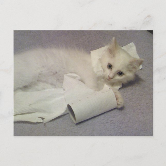 Carte Postale papier toilette (Devant)