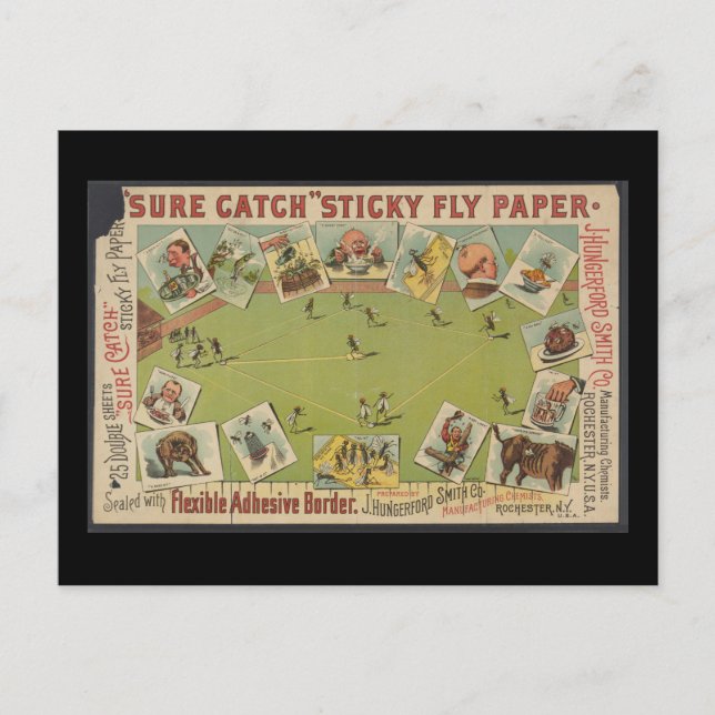 Carte Postale Papier volant adhésif "Sure Catch" (Devant)
