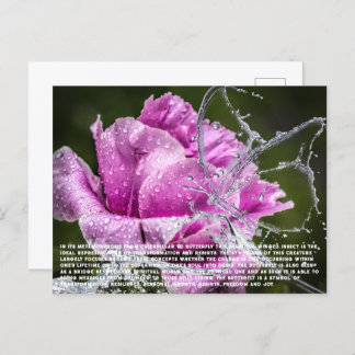 Carte postale papillon