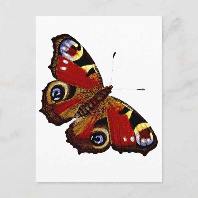 Carte Postale Papillon (Devant)