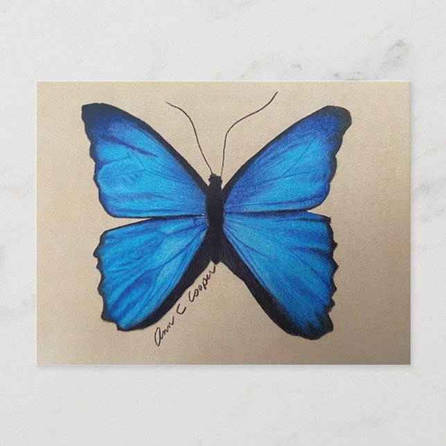 Carte postale papillon (Devant)