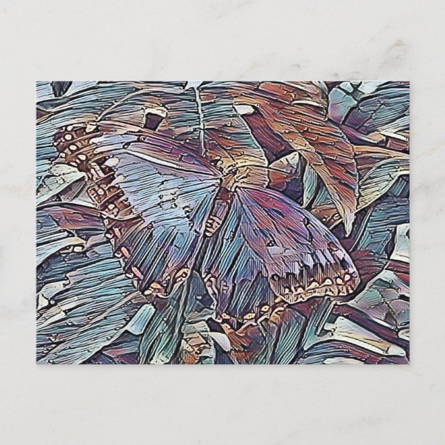 CARTE POSTALE PAPILLON (Devant)