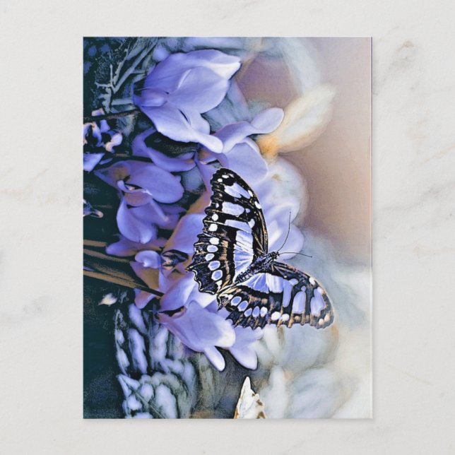Carte Postale Papillon bleu (Devant)