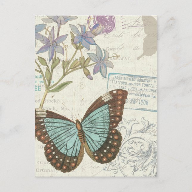Carte Postale Papillon bleu et Brown (Devant)