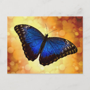 Carte Postale Papillon bleu Morpho