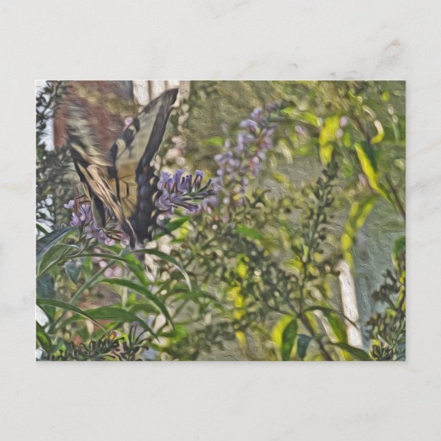 Carte Postale Papillon Bush 2 (Devant)