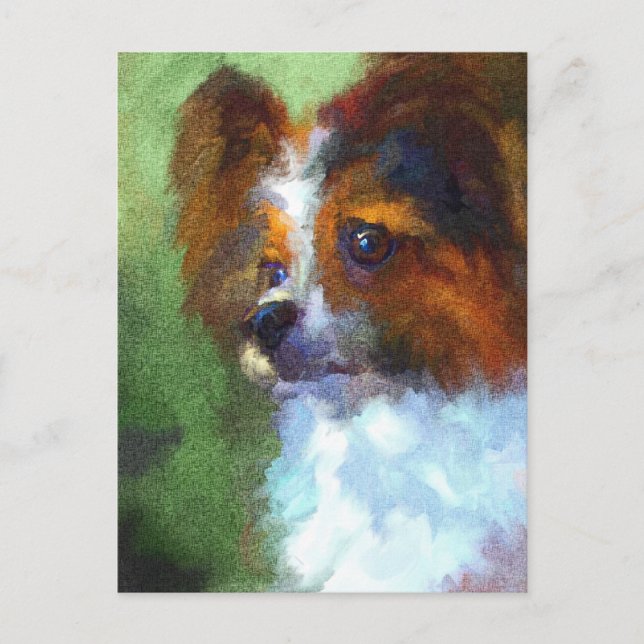 Carte postale Papillon curieux (Devant)