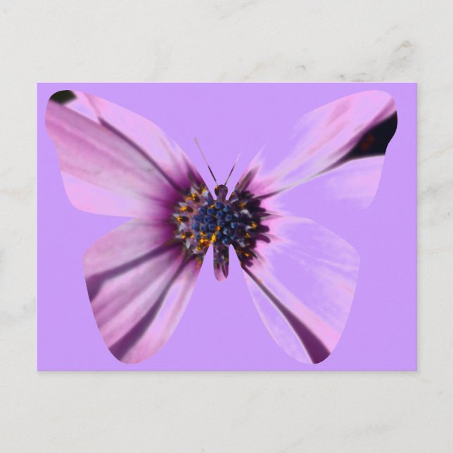 Carte Postale Papillon de fleurs (Devant)