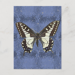 Carte Postale Papillon de l'Oregon Swallowtail