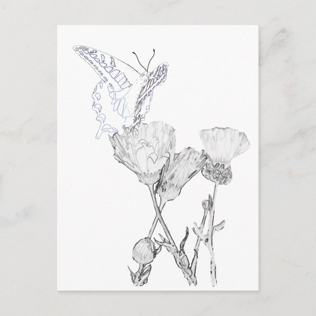 Carte postale - Papillon et fleurs à colorier (Devant)