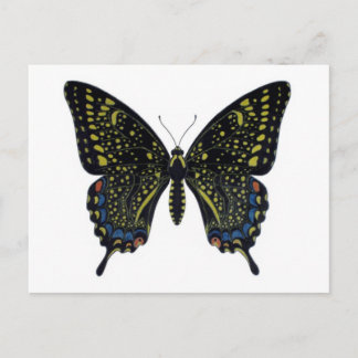 Carte postale Papillon factice
