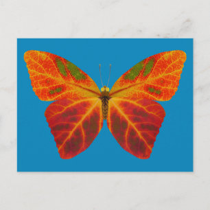 Carte Postale Papillon feuille Aspen 2