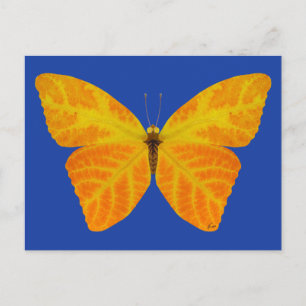 Carte Postale Papillon feuille Aspen 3