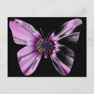 Carte Postale Papillon Fleur