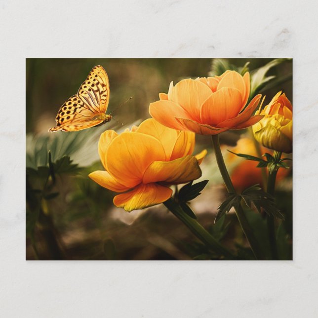 Carte Postale Papillon jaune d'or (Devant)