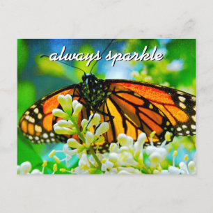 Carte Postale Papillon Monarque Orange Photo Toujours Étincelant