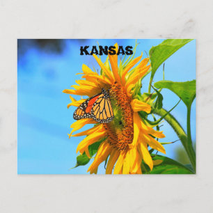 Carte Postale Papillon monarque sur un closeuse de tournesol