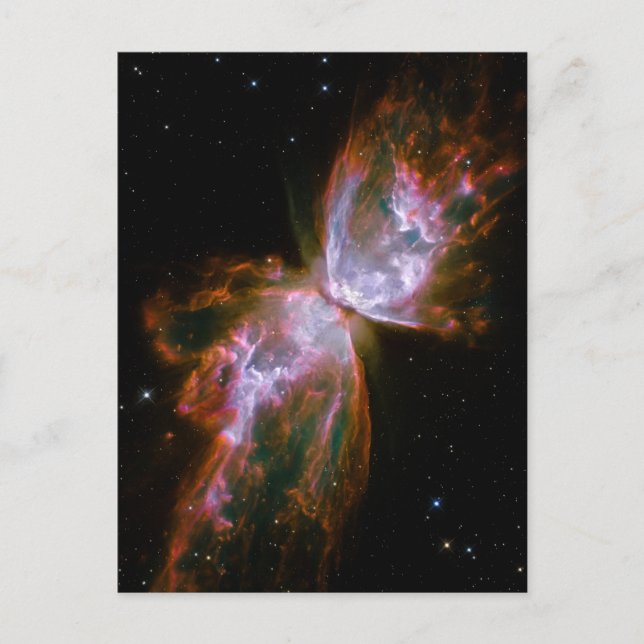 Carte Postale Papillon / Nébuleuse du bogue (télescope Hubble) (Devant)