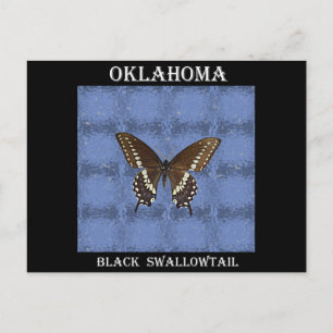 Carte Postale Papillon noir Swallowtail Oklahoma